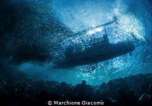 Under the boat
Moal Boal . Philippines.
Nikon D800E , 1... by Marchione Giacomo 